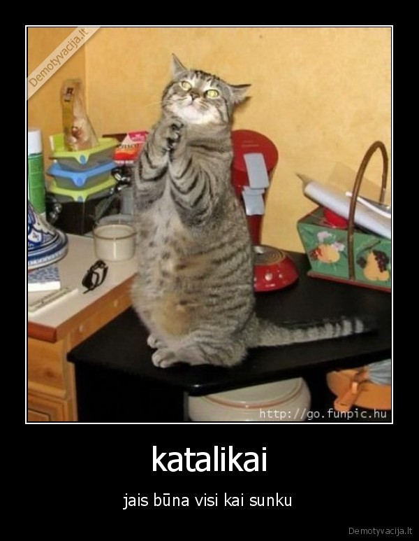 katalikai