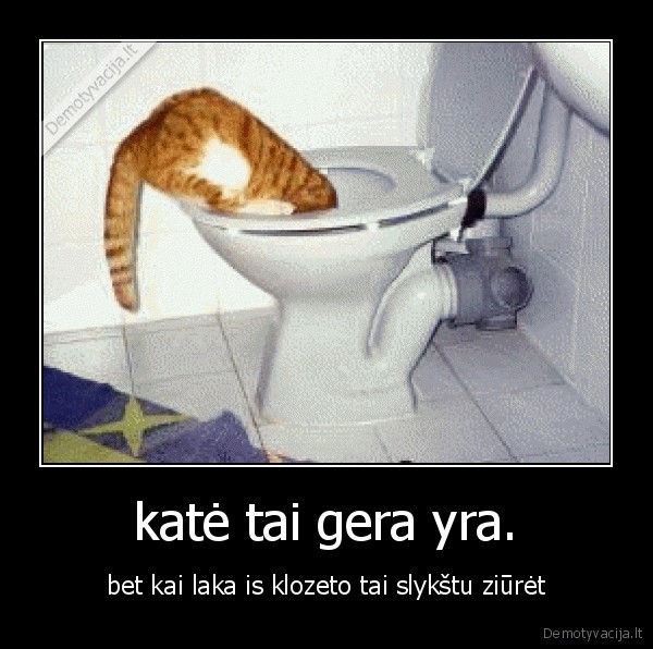 katė tai gera yra.