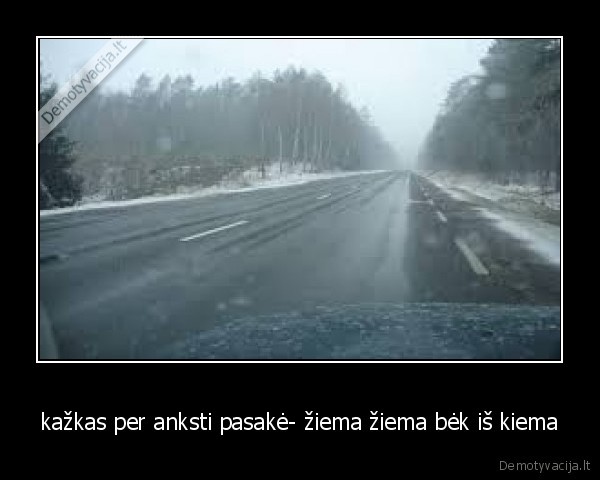 ziema