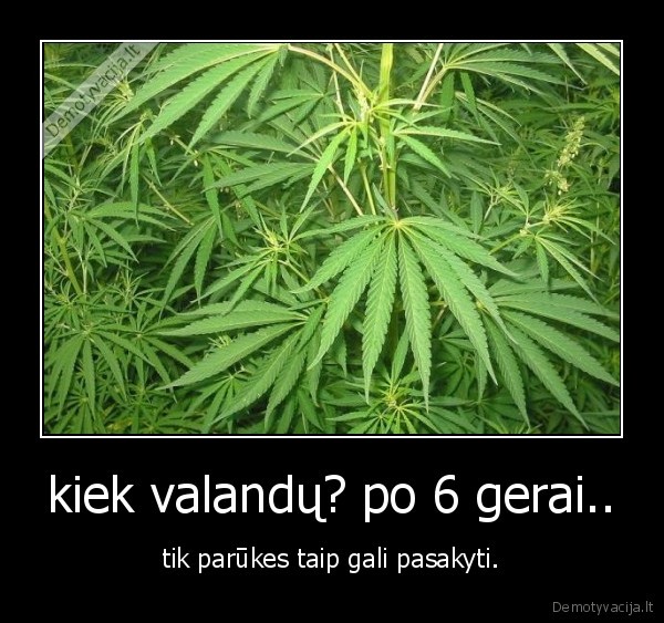 kiek valandų? po 6 gerai..