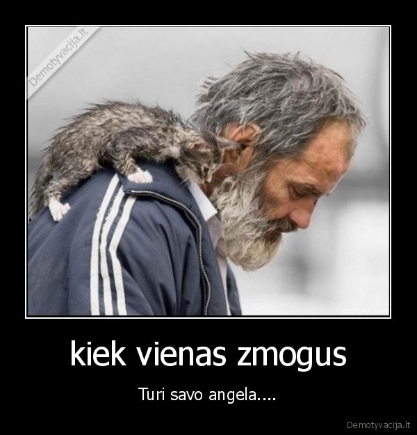 angelas,katinas,zmogus