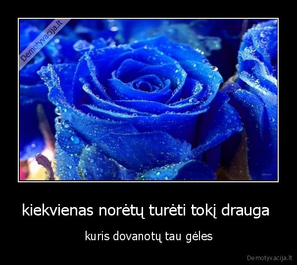 kiekvienas norėtų turėti tokį drauga 