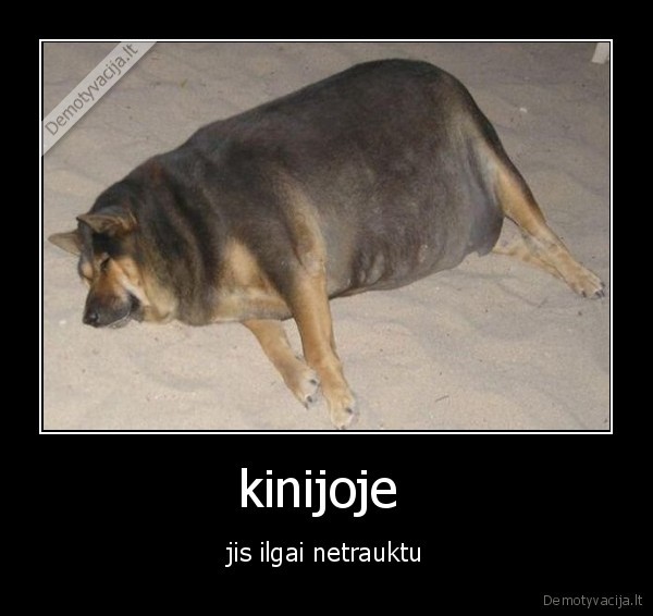 kinijoje 