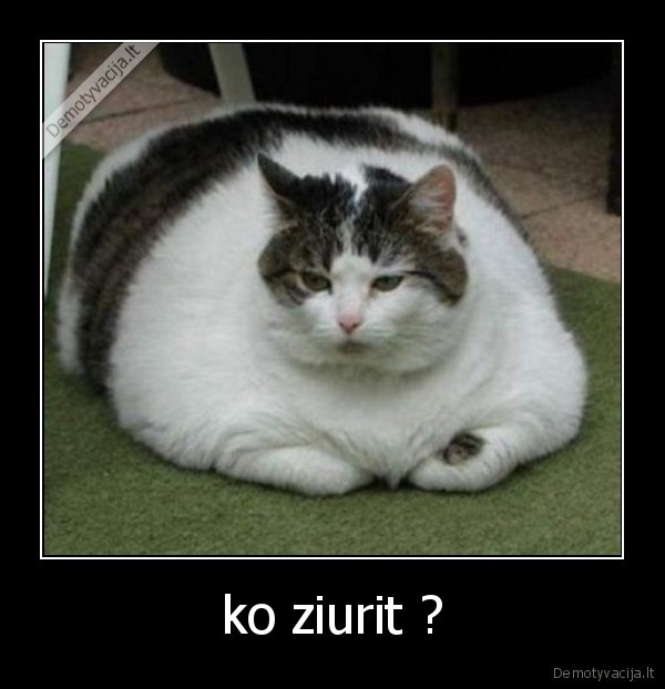 ko ziurit ?
