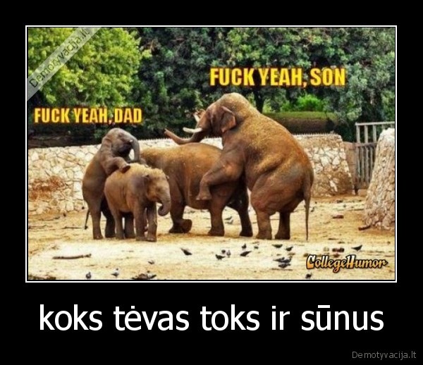 koks tėvas toks ir sūnus