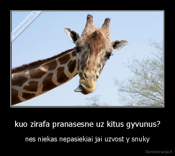 xaxa