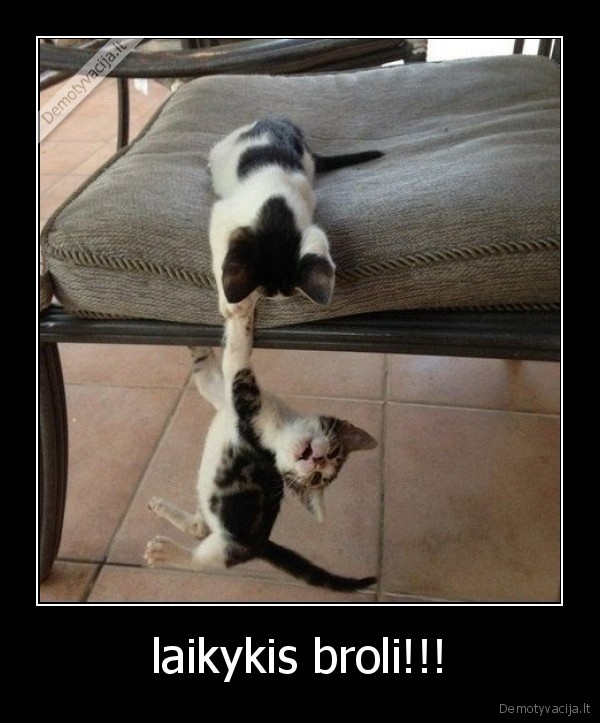 laikykis broli!!!