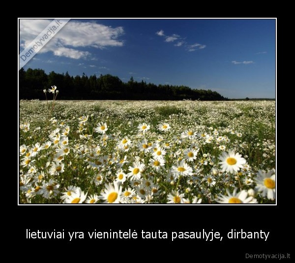 lietuviai yra vienintelė tauta pasaulyje, dirbanty