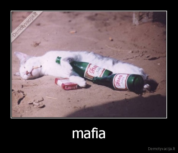 mafia