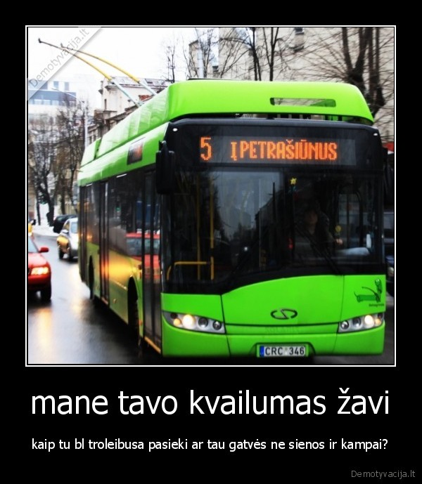mane tavo kvailumas žavi
