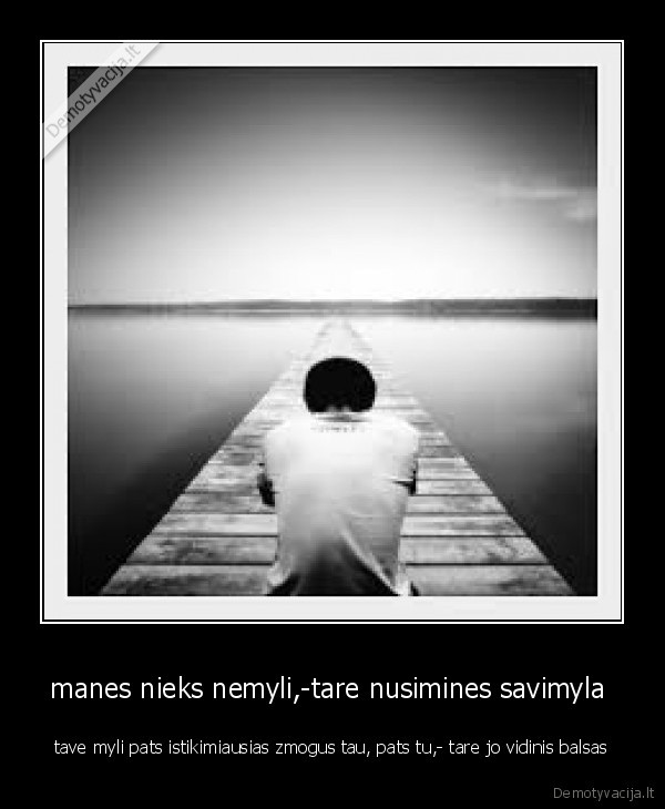vienatve,meile