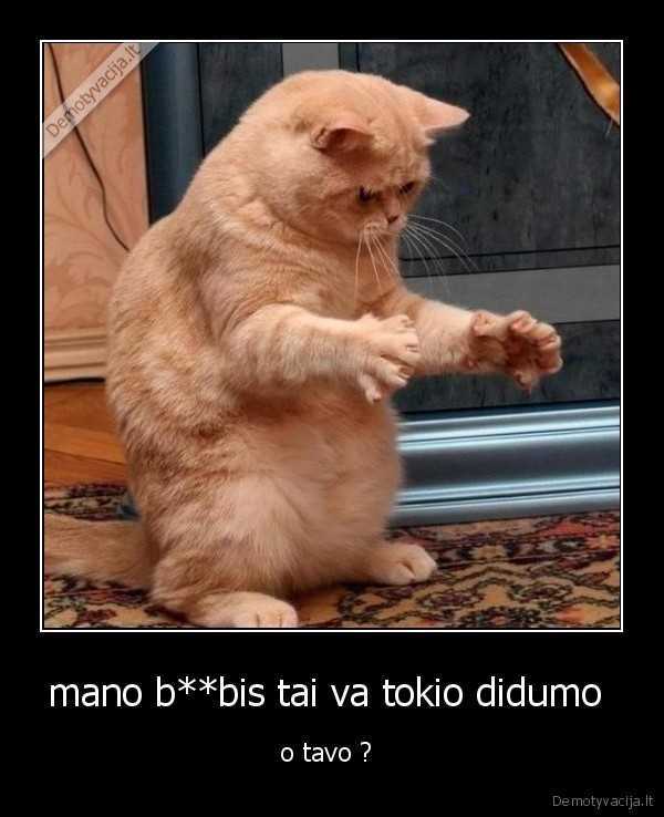 mano b**bis tai va tokio didumo 