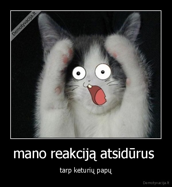mano reakciją atsidūrus 