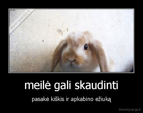 meilė gali skaudinti