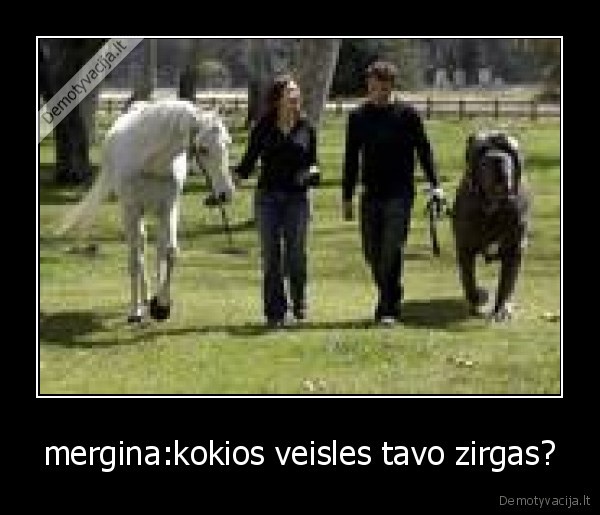 mergina:kokios veisles tavo zirgas?