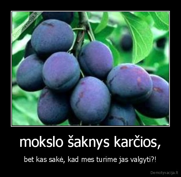 mokslo šaknys karčios,