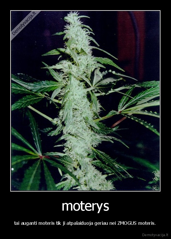 moterys