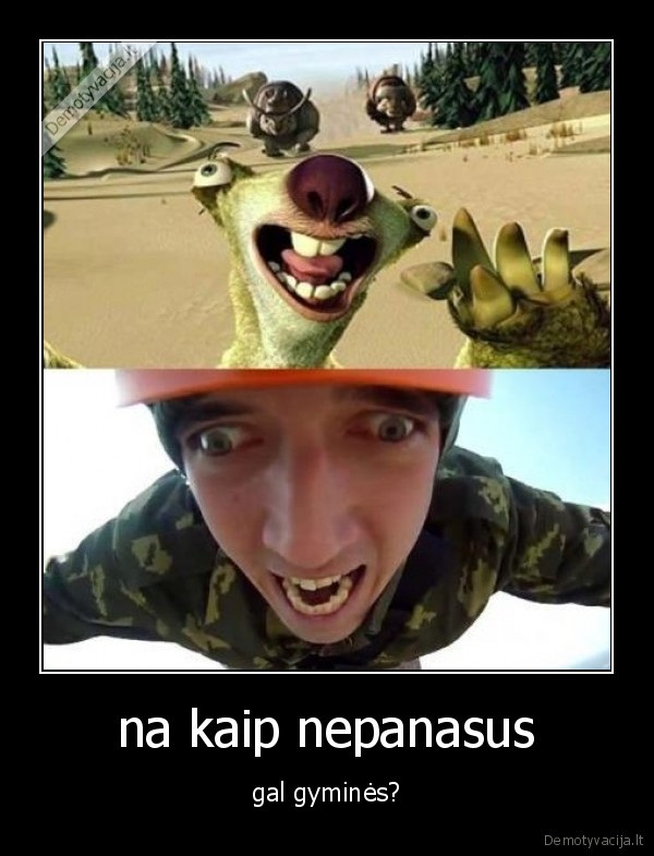 ledynmetis