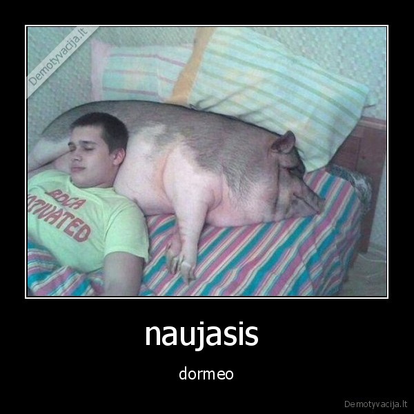 naujasis 