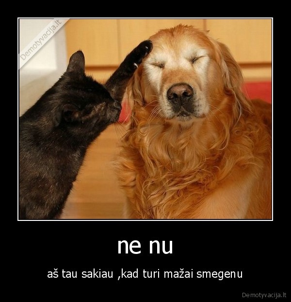 ne nu