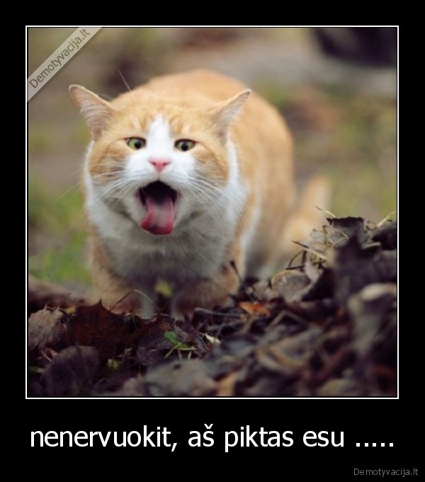 nenervuokit, aš piktas esu .....