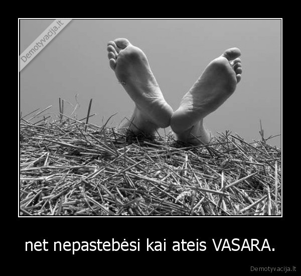 vasara, tu
