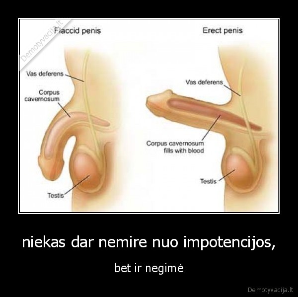 niekas dar nemire nuo impotencijos,