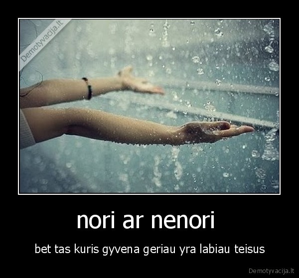 nori ar nenori 