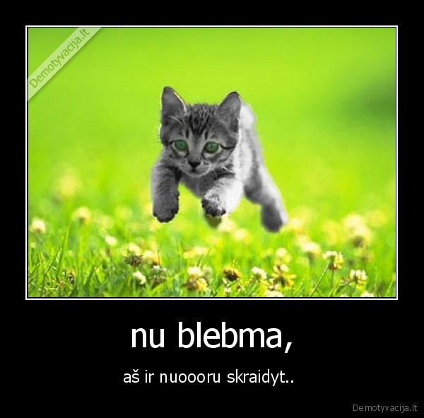 nu blebma,