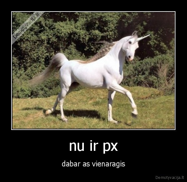 nu ir px