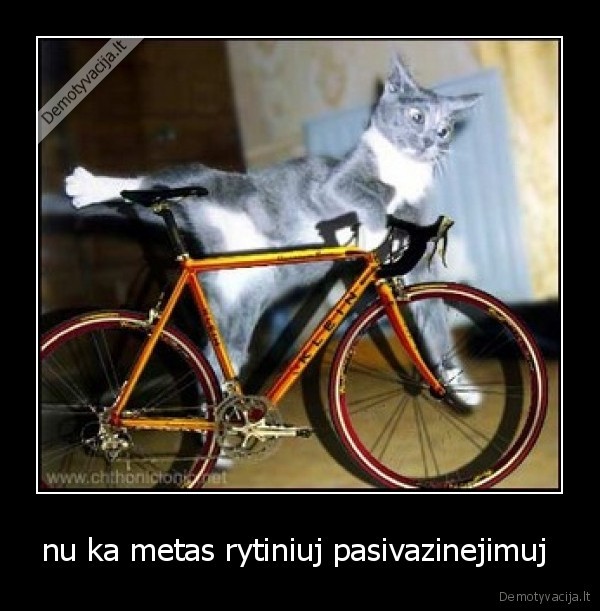 nu ka metas rytiniuj pasivazinejimuj 