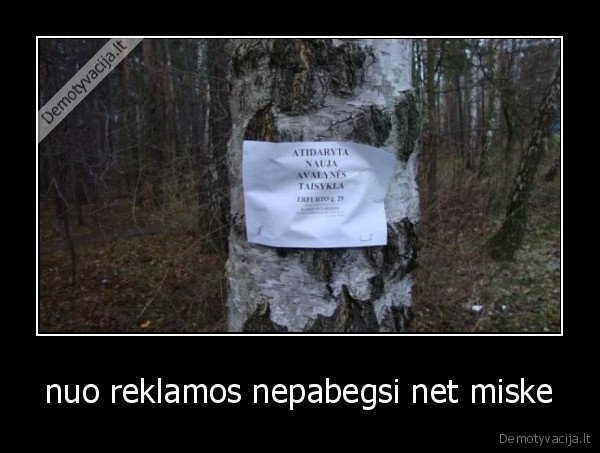 nuo reklamos nepabegsi net miske