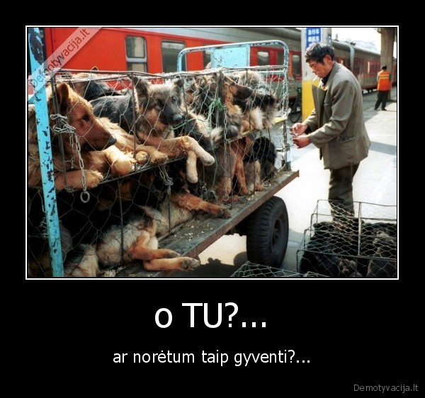 o TU?...