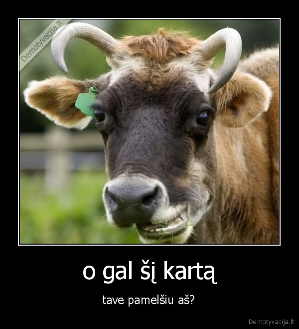 humoras