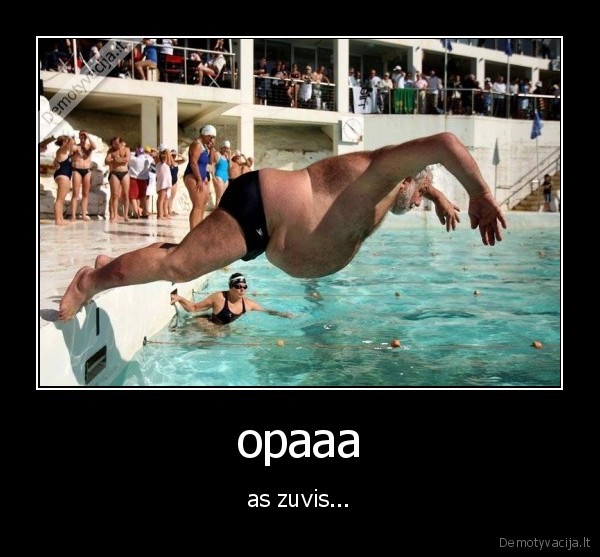 opaaa