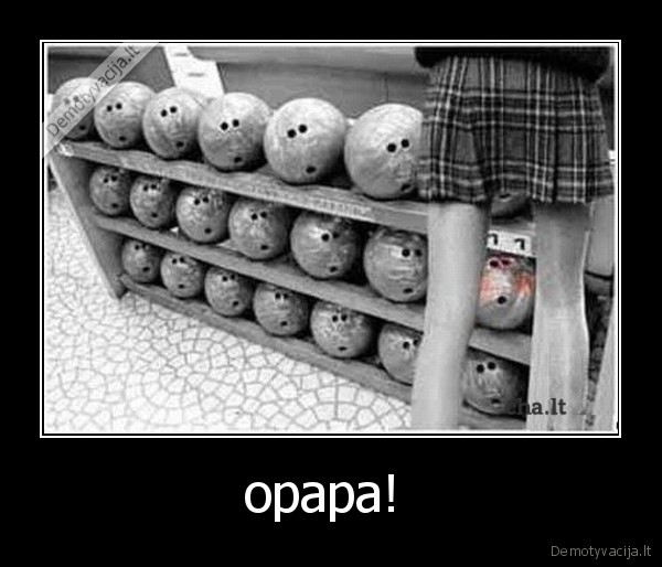 opapa! 