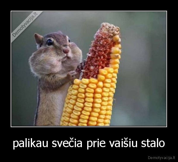 palikau svečia prie vaišiu stalo