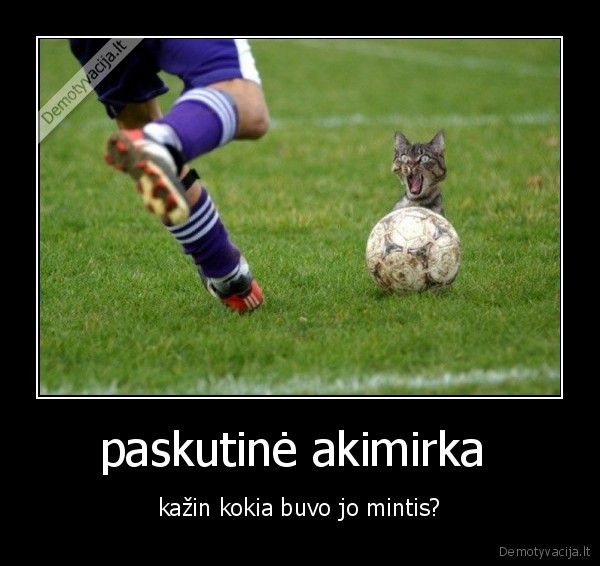 paskutinė akimirka 
