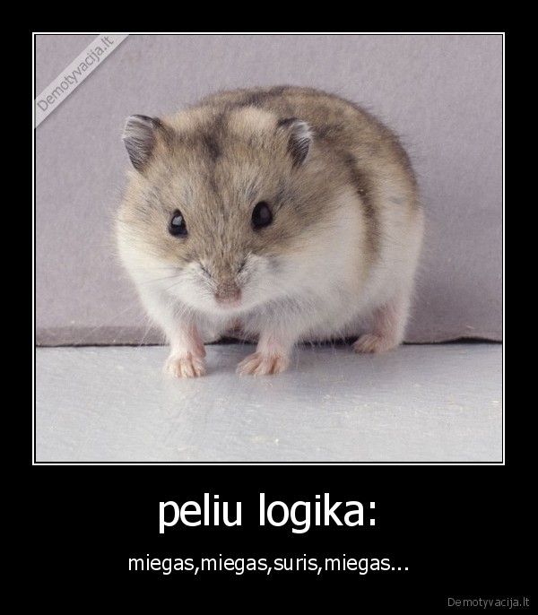 peliu logika: