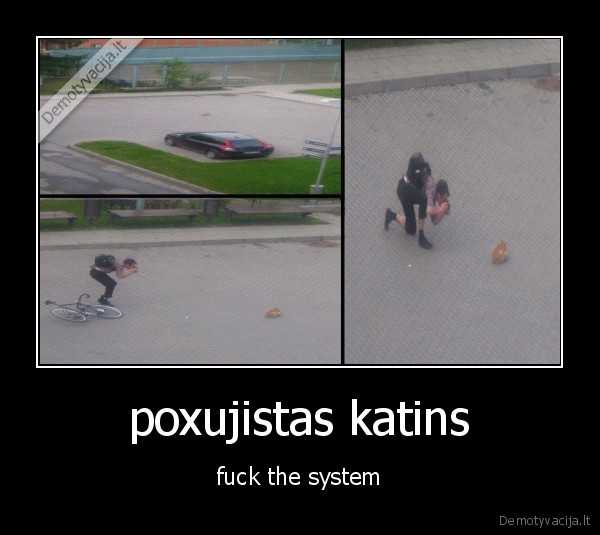 poxujistas katins