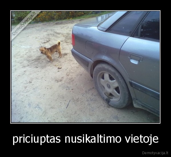 priciuptas nusikaltimo vietoje