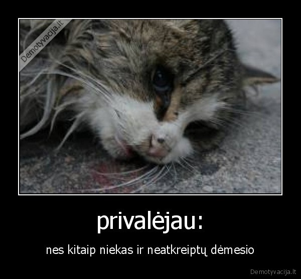kate,mirtis,demesys