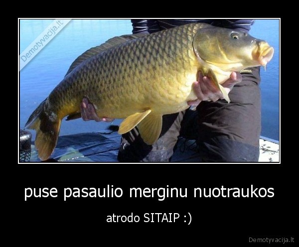 merginos