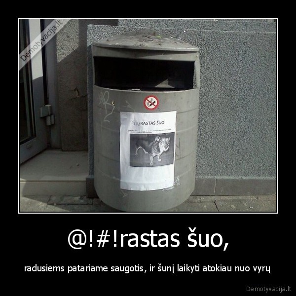 3,14rastas, suo