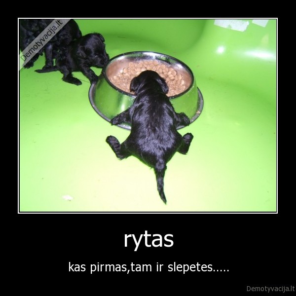 rytas