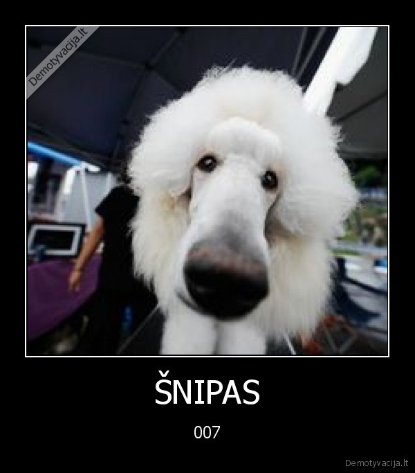 ŠNIPAS