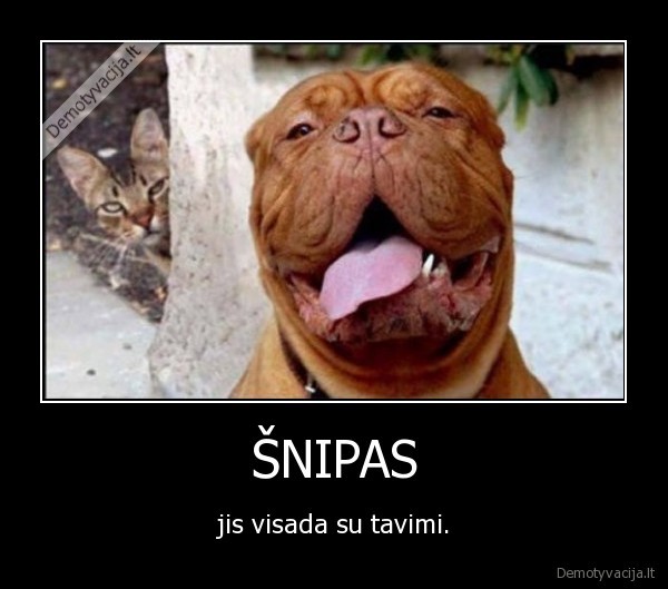 ŠNIPAS