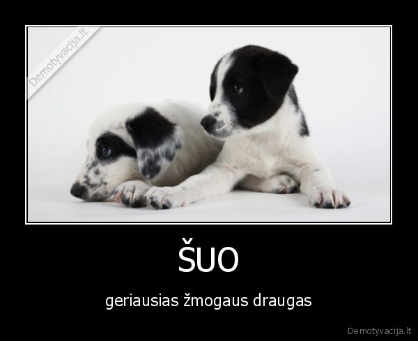 ŠUO