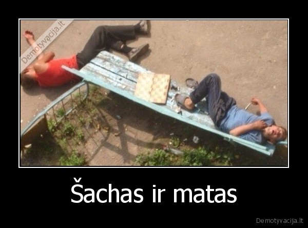sachas,matas