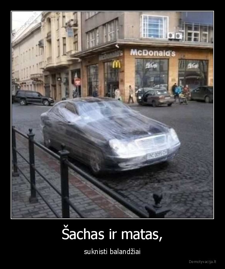 sachas,matas,balandziai,masina